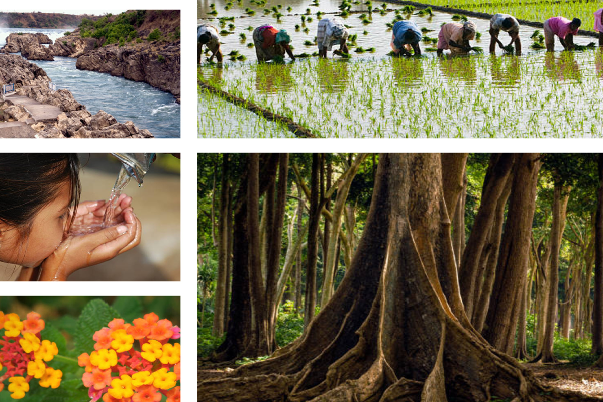 biodiversity-and-eco-care